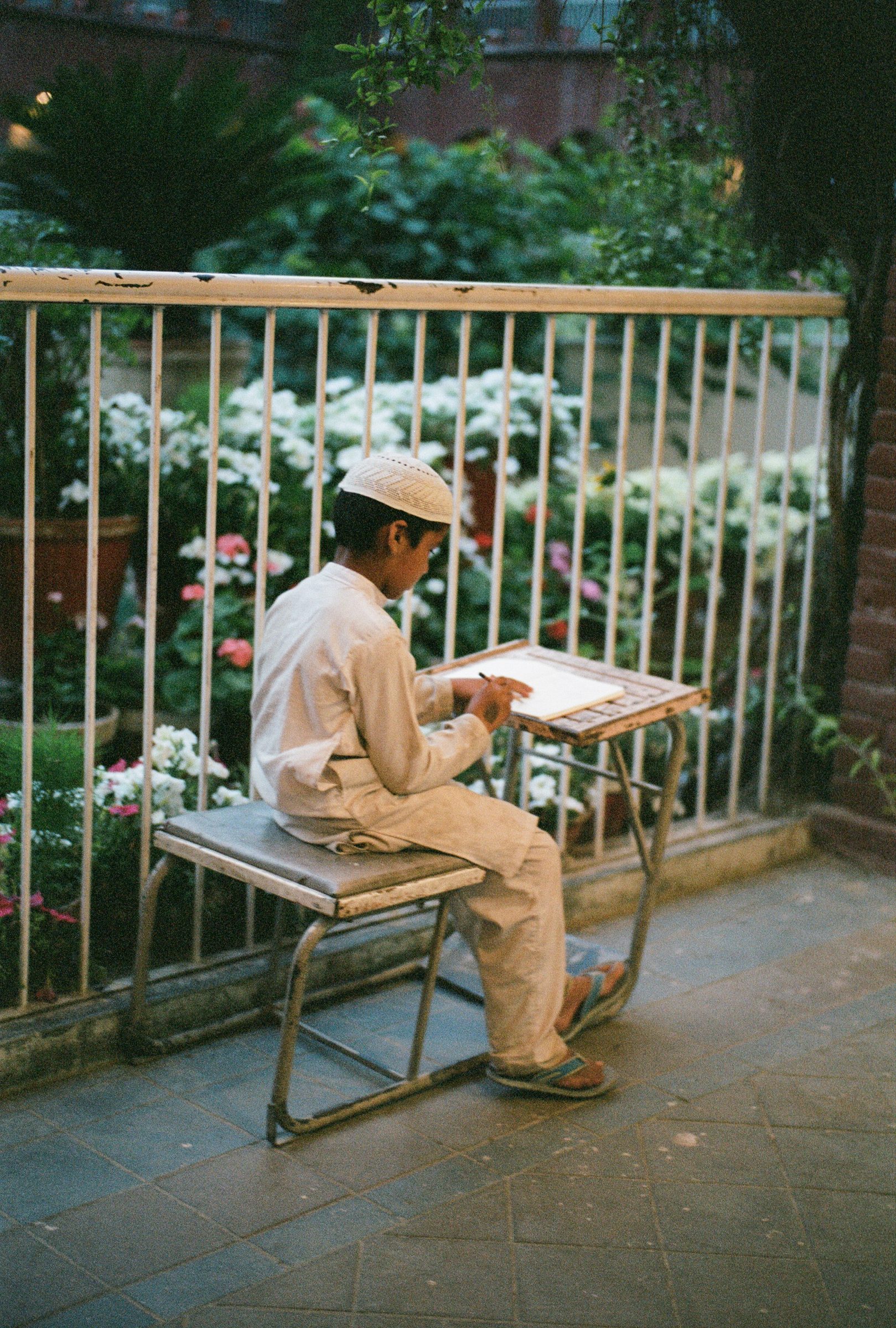 Fig. — writing, in the garden